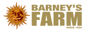 Barneys Farm Semi Di Canapa